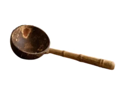 Coconut Shell Serve Soup Spoon