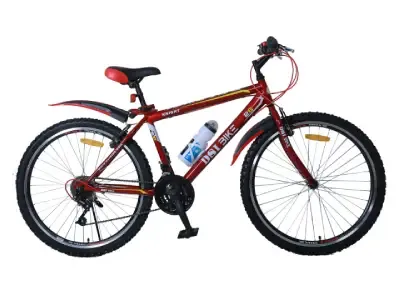 DSI 26 Inch Multi Speed Bicycle