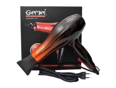 Gemei Professional Hair Dryer