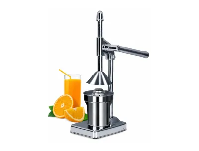 Fruit Juicer