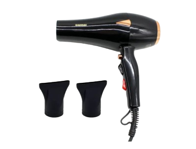 Gemei GM Professional Hair Dryer
