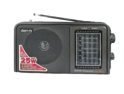 Den-B Rechargeable Radio with Bluetooth