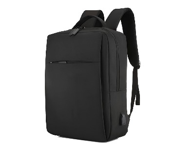 Executive Water-Resistant Laptop Backpack with USB Charging Port