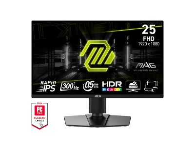 MSI Mag 255Xf 24.5 Inch 300Hz Fhd Ips Monitor