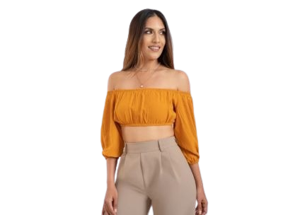 Off Shoulder Crop Top