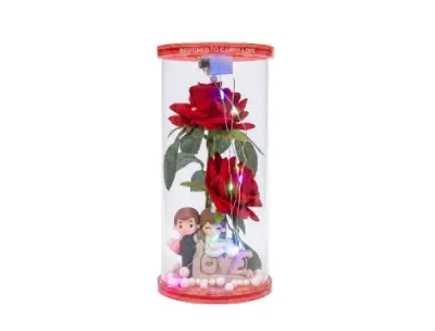 Ornament The Love Story Loving Partner LED Crystal Lightning