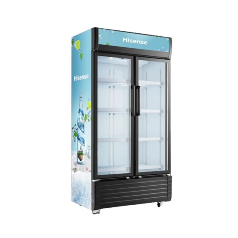 Hisense 620L Double Door Bottle Cooler
