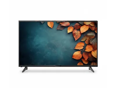 FUJI 24 Inch HD LED TV
