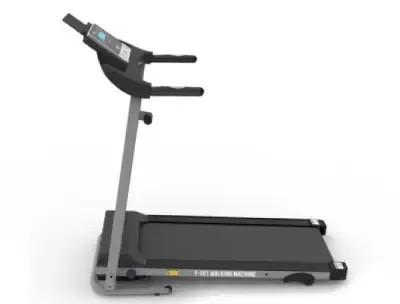 Quantum T101 Walker