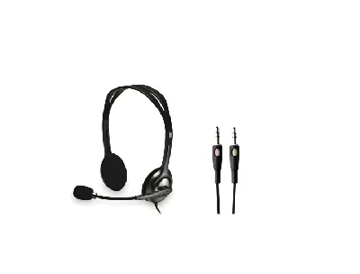 Logitech H110 Stereo Headset