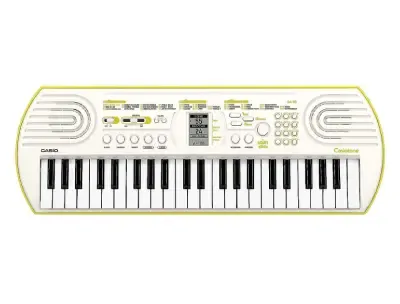 Casio Musical Keyboard