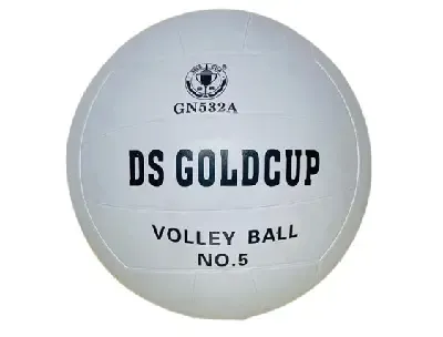 Gold Cup volleyball