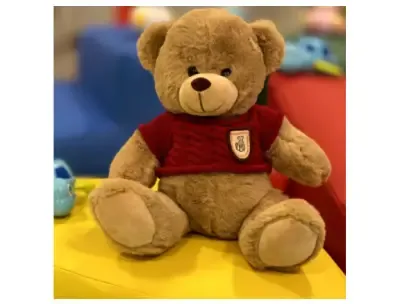 Teddy Bear