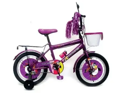 DSI 16 Inch BMX Kid's Bicycle