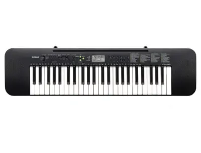 Casio Keyboard with Free Adapter