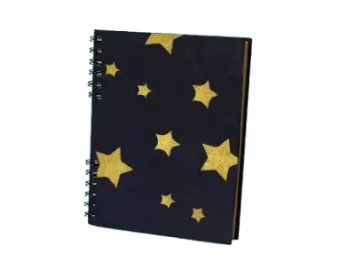 S Notebook - Gold Star Blue