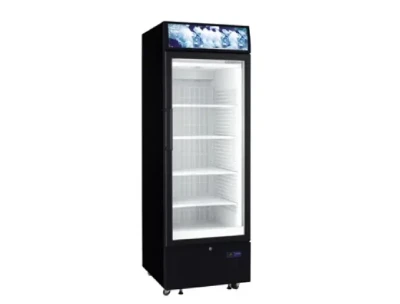 Abans 301L Bottle Cooler