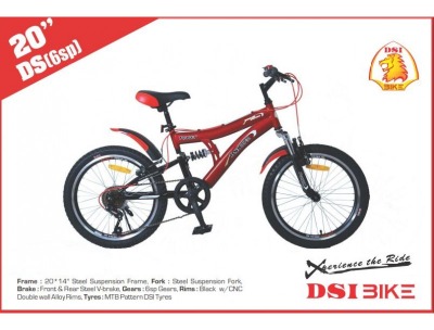 DSI 20 BMX Bicycle