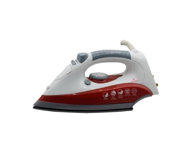 Bright Steam Iron