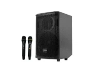 Malata Speaker (M-9788A)