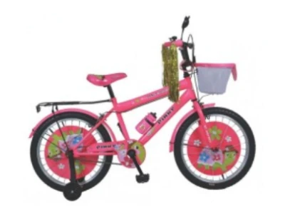 DSI 16 BMX Bicycle