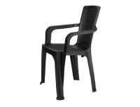 Phoenix Chair Rattan Low Back