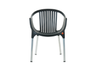 Phoenix Chair Mint