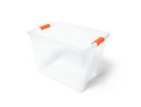 Phoenix Storage Box 20L (C ) 2020