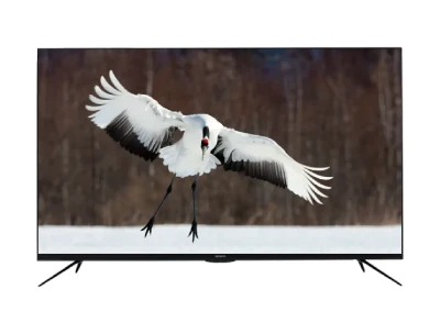 Aiwa 55 inch UHD Smart WebOS 4K LED TV –(WS-558H)