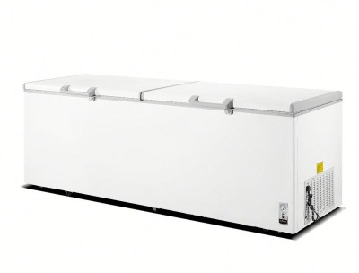 Havells 650L Inverter Compressor Double Door Freezer