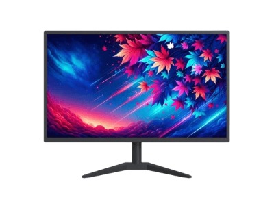 Micro DS19 LED Monitor