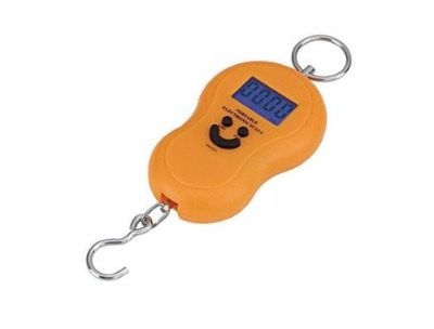 Portable Electronic Hanging Scale