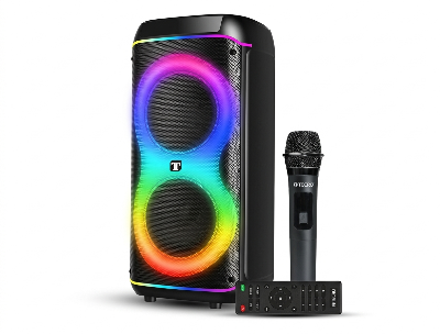 Tecro Wireless Portable Speaker