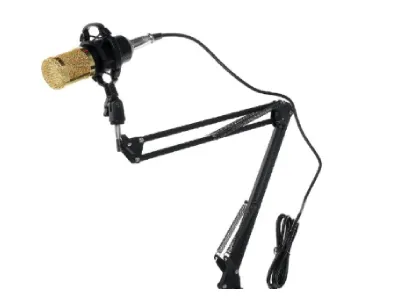 Professional Condenser Dual Microphone