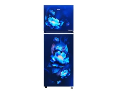 Haier 240L No Frost Double Door Non-Inverter Refrigerator - Marine Carnation