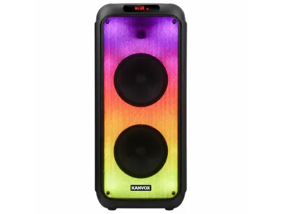Kanvox Dual 8-Inch Party Speaker with 2 Wireless Mics