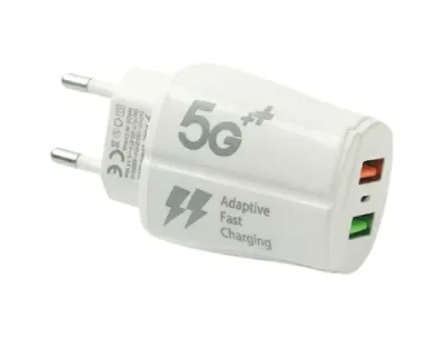Dual Port Micro 3.1 A USB Wall Charger