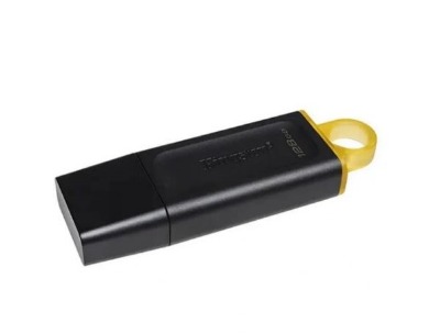 Kingston 256GB USB Pen Drive