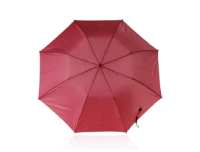 Rainco TM1644 – Frame with Pongee Fabric Premium Collection – 2 Fold