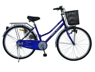 DSI 26 Inch Lady Bicycle