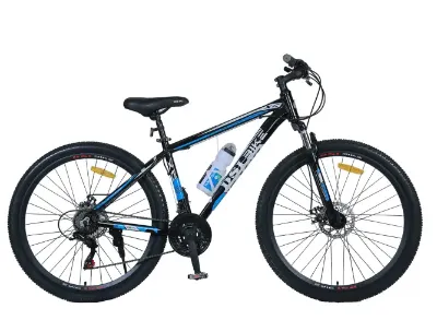DSI 700C" High End (21sp) Bike - 700C