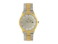 TITAN Quartz Regalia Two Toned Men's Watch W/Box