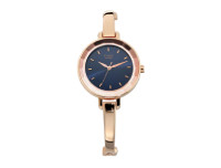 TITAN Quartz Raga Blue Dial Women's Watch W/Box