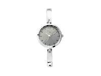 TITAN Quartz Raga Viva Silver Dial Women's Watch W/Box