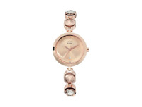 TITAN Quartz Raga Viva Rose Gold Dial Women's Watch W/Box