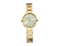 TITAN Quartz Raga Viva Champagne Dial Women's Watch W/Box