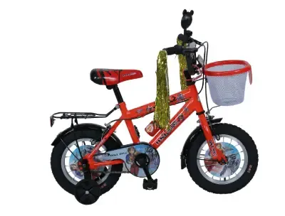 DSI 12 Inch BMX Kid's Bicycle