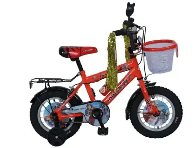 DSI 12 BMX Bicycle