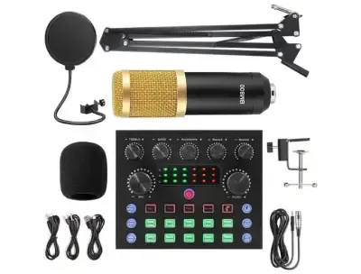 V8S Live Sound Card & BM800 Mic Kit