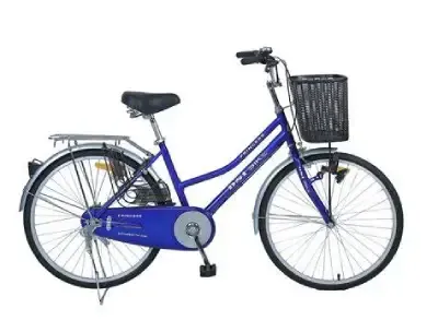 DSI 24 Inch Lady Bicycle